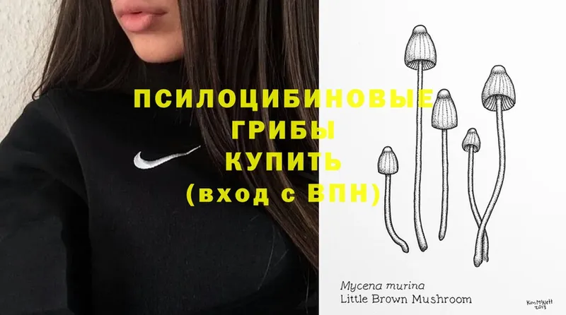 Галлюциногенные грибы Magic Shrooms  цены наркотик  Челябинск 